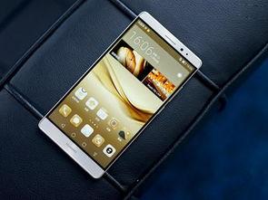 手机看大片国产