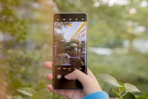 手机看大片国产